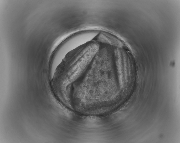 X0000089901319200707262243