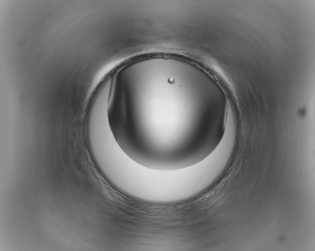 X0000089901320200707262243