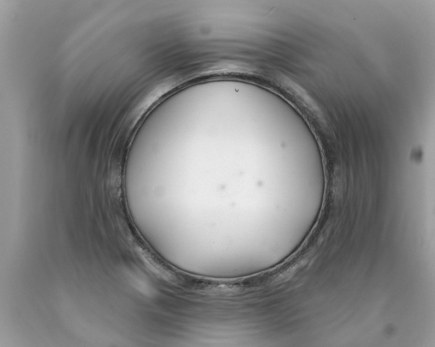 X0000089901321200707262243