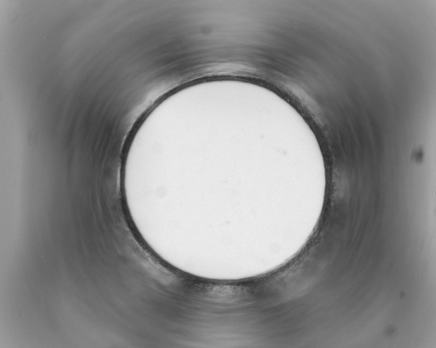X0000089901322200707262243