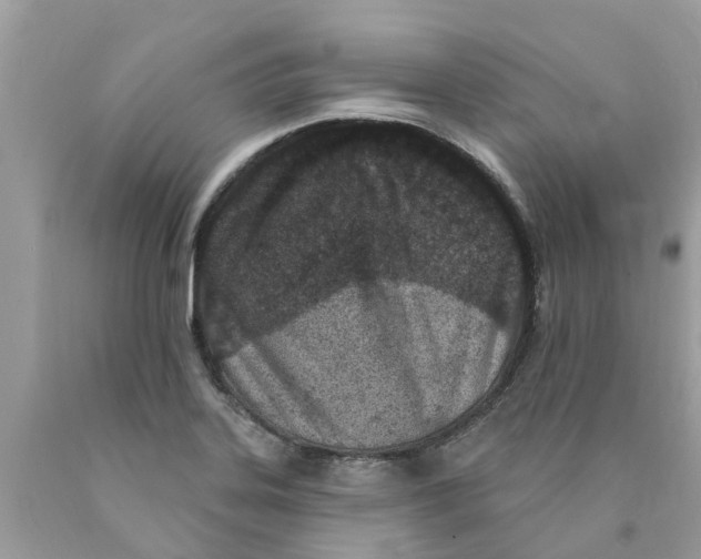 X0000089901323200707262243
