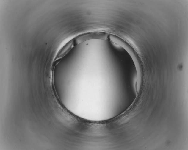 X0000089901324200707262243