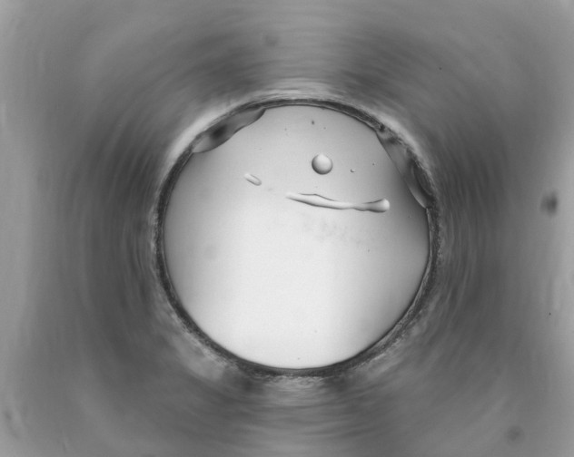 X0000089901325200707262243