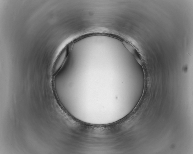 X0000089901326200707262243