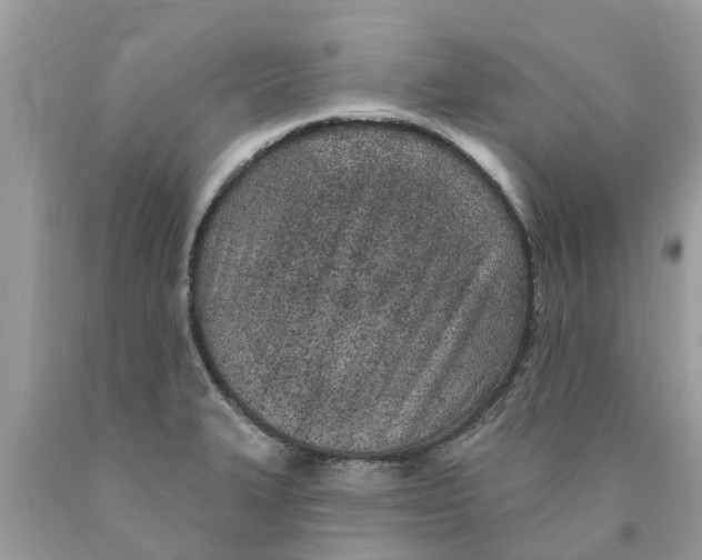X0000089901327200707262243