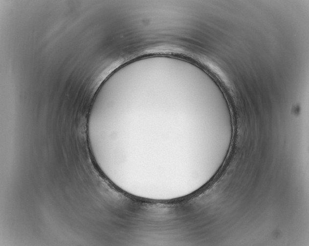 X0000089901329200707262243