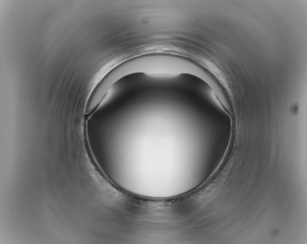 X0000089901330200707262243