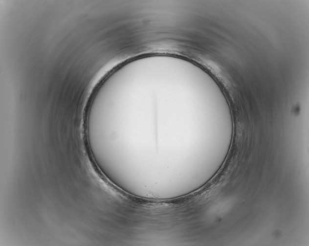 X0000089901331200707262243
