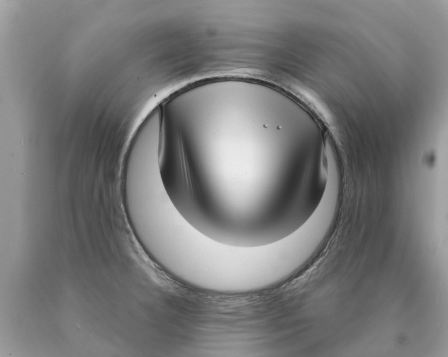 X0000089901332200707262243