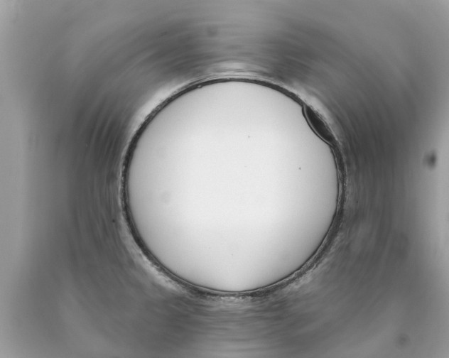 X0000089901333200707262243
