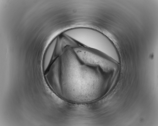 X0000089901334200707262243