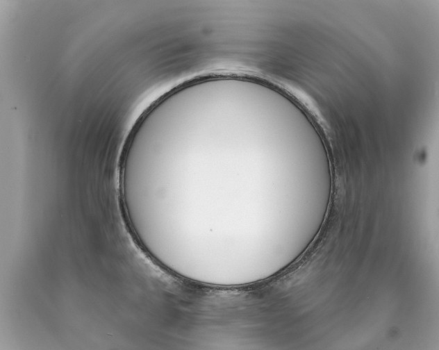 X0000089901335200707262243