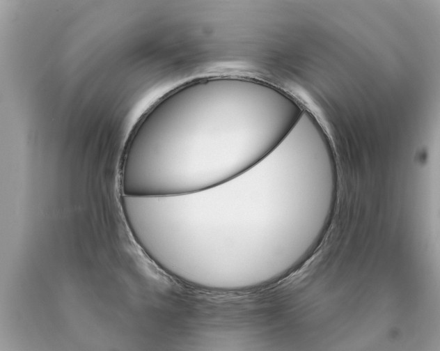 X0000089901336200707262243