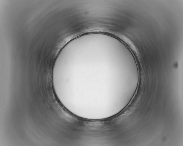 X0000089901337200707262243