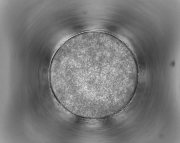 X0000089901338200707262243