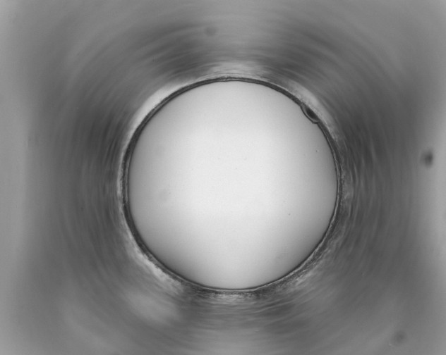 X0000089901339200707262243