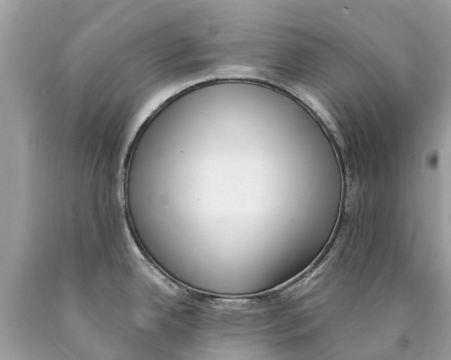 X0000089901342200707262243
