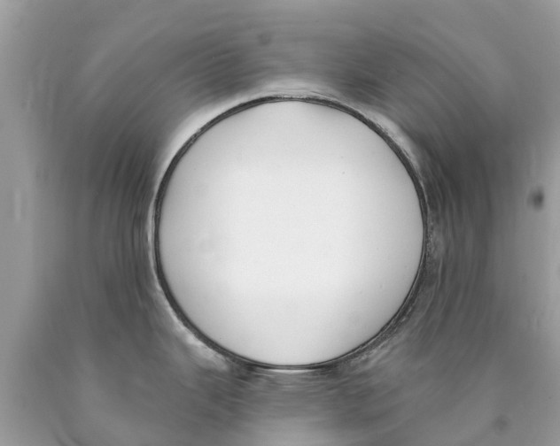X0000089901343200707262243