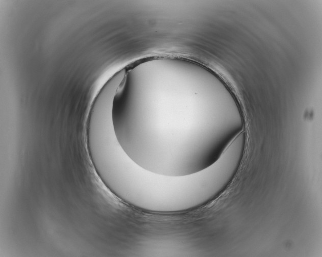 X0000089901344200707262243
