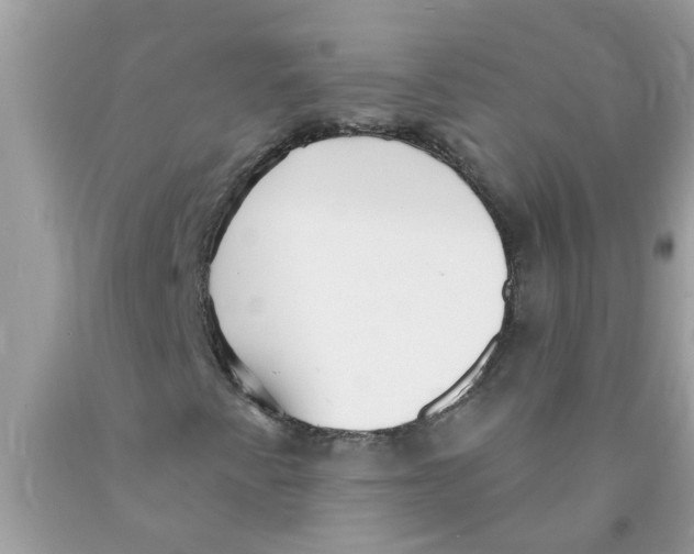 X0000089901345200707262242