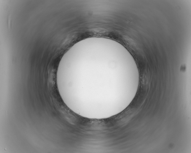 X0000089901346200707262242