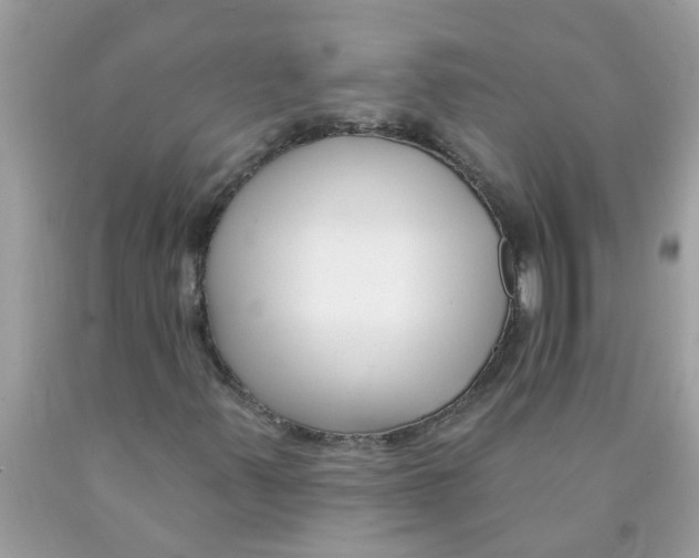 X0000089901347200707262242