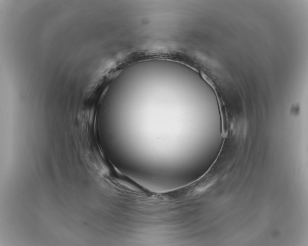 X0000089901348200707262242