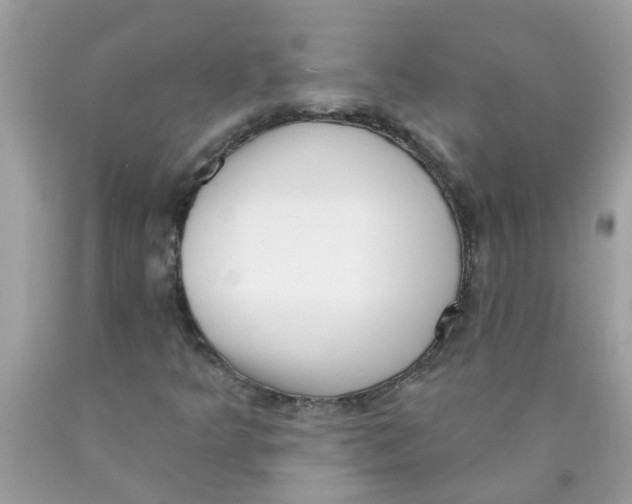 X0000089901349200707262242