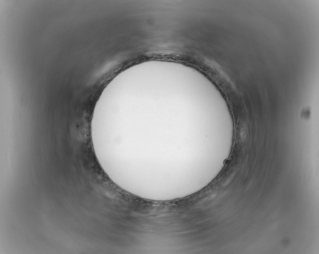 X0000089901350200707262242