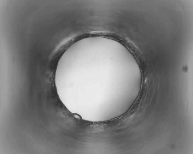 X0000089901351200707262242