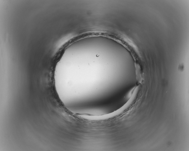 X0000089901352200707262242