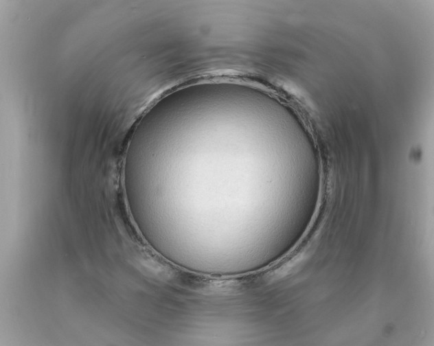 X0000089901353200707262242