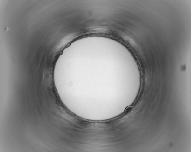 X0000089901354200707262242