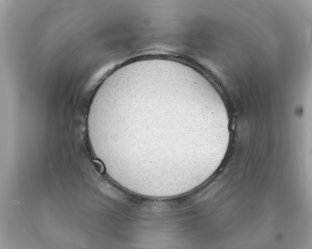 X0000089901355200707262242