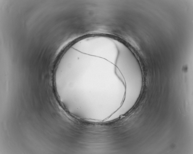 X0000089901356200707262242