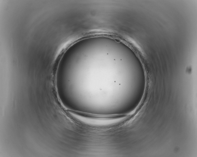 X0000089901357200707262242