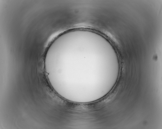 X0000089901358200707262242