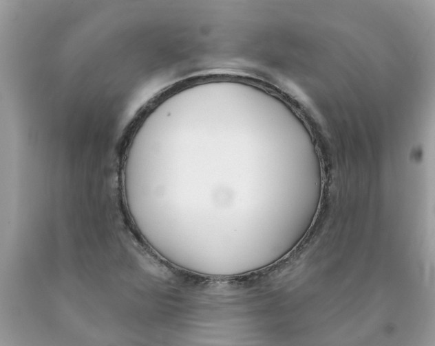 X0000089901360200707262242