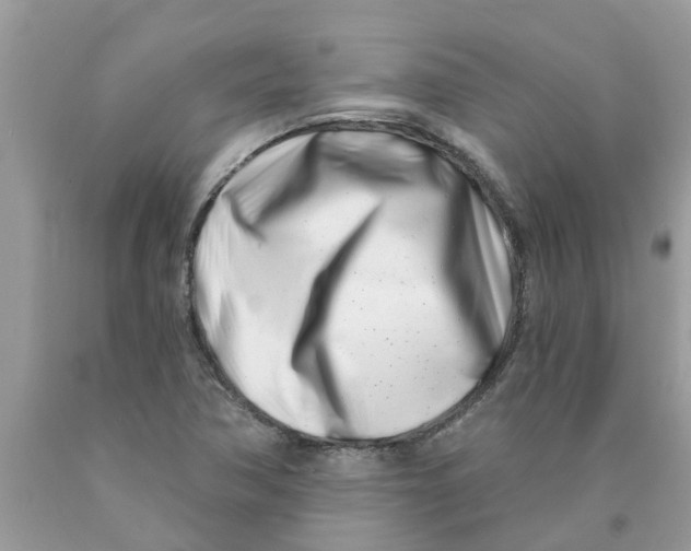 X0000089901362200707262242
