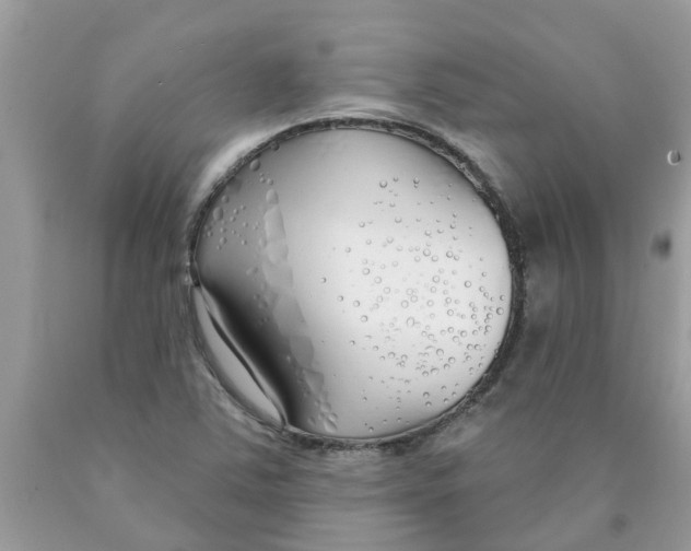 X0000089901363200707262242