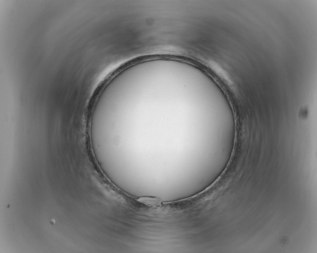X0000089901364200707262242