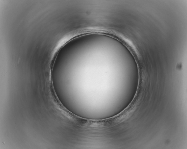 X0000089901365200707262242