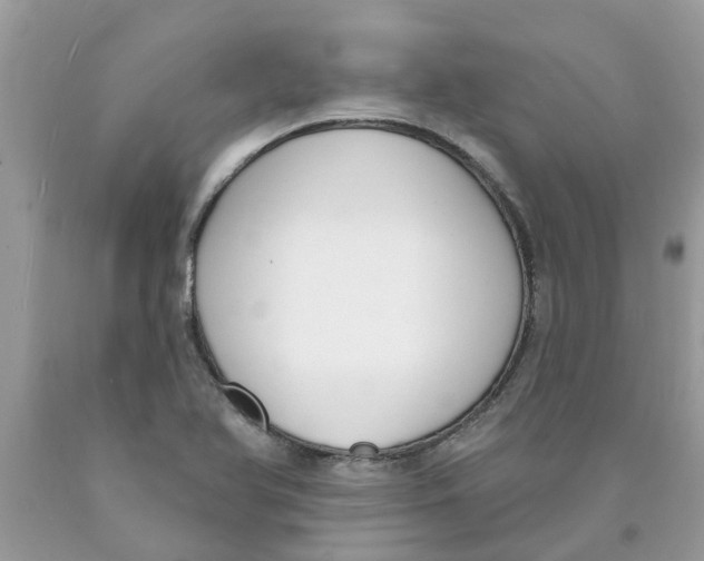 X0000089901366200707262242