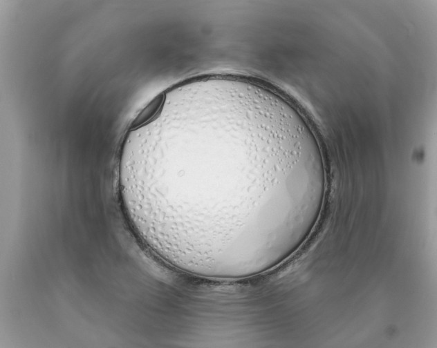 X0000089901367200707262242