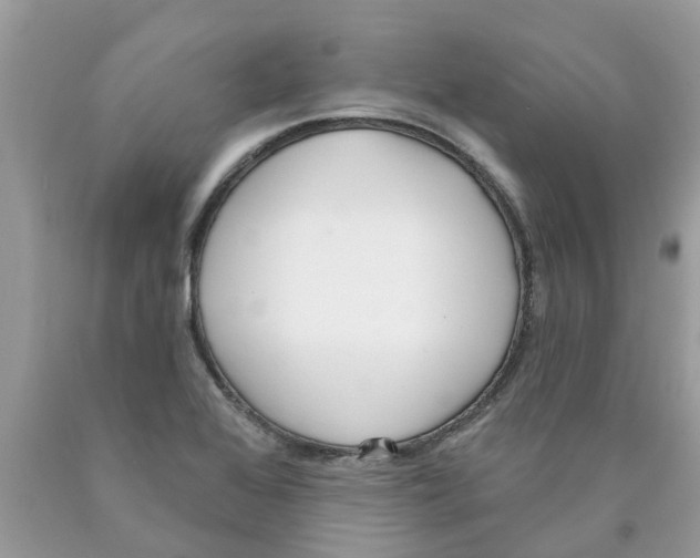 X0000089901368200707262242