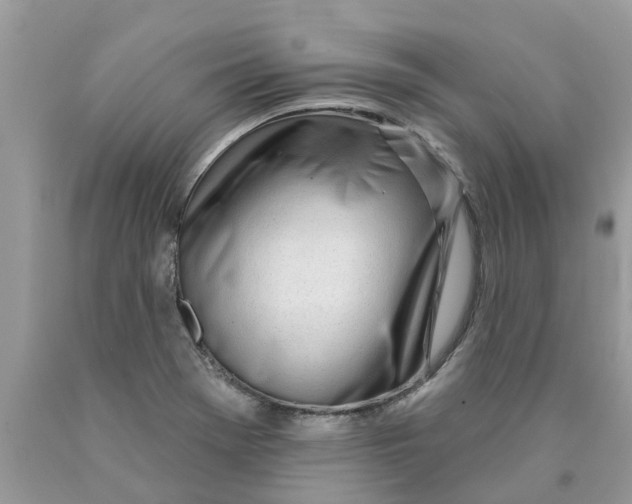 X0000089901369200707262242