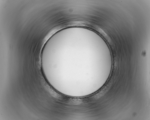 X0000089901370200707262242