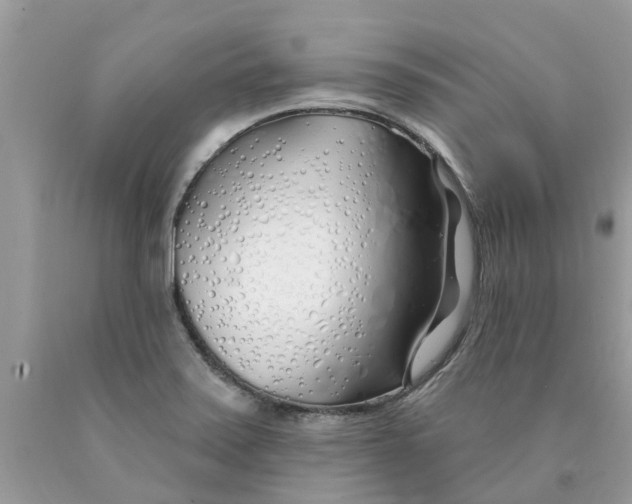 X0000089901371200707262242