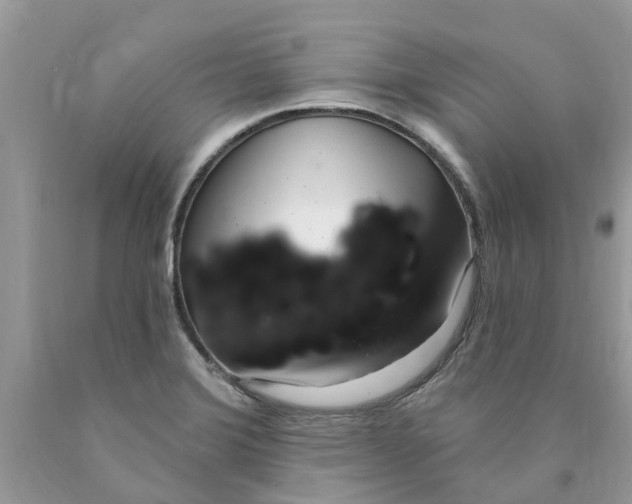 X0000089901372200707262242