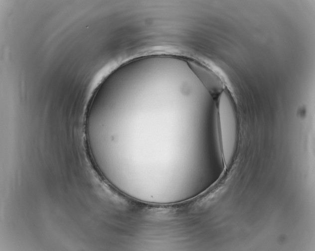 X0000089901373200707262242